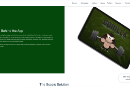 Gorilla Weight Lifting