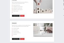 Landing Page for Pronet LLC