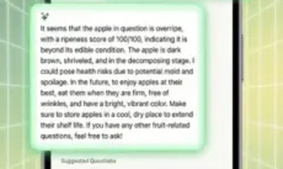 Fruit Scanner: Fresh or Rotten - 3