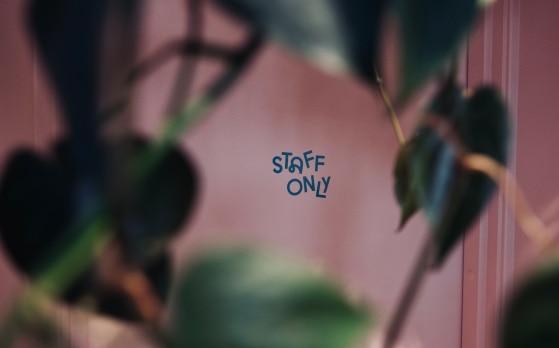 IT staff augmentation: Temporary solution or winning strategy?