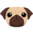 Pug