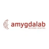 AMYGDALAB LTD