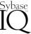 Sybase IQ