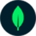 MongoDB
