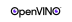 Openvino