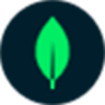 Skill MongoDB