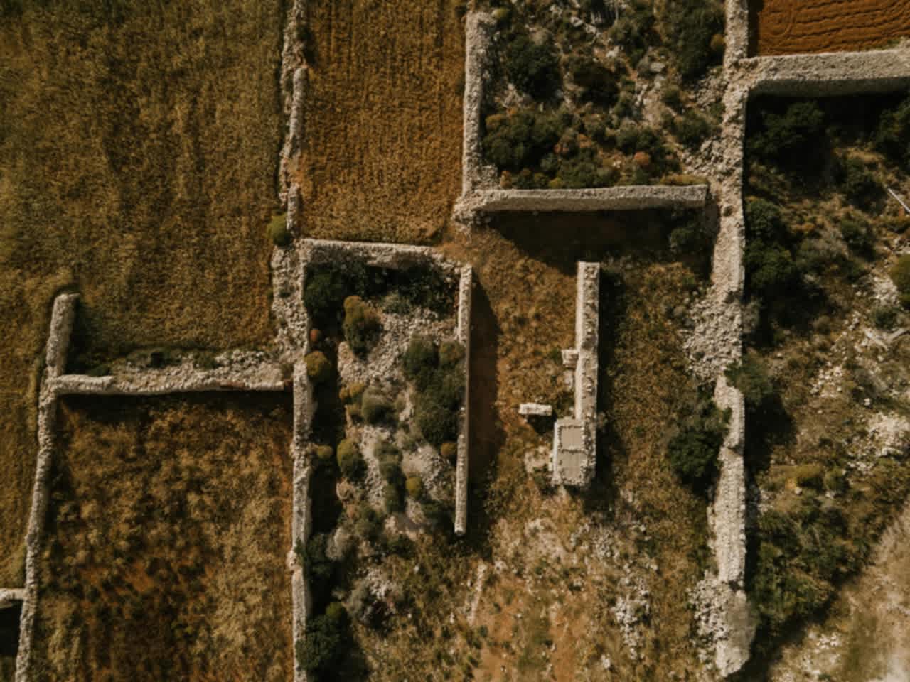 Site Excavation