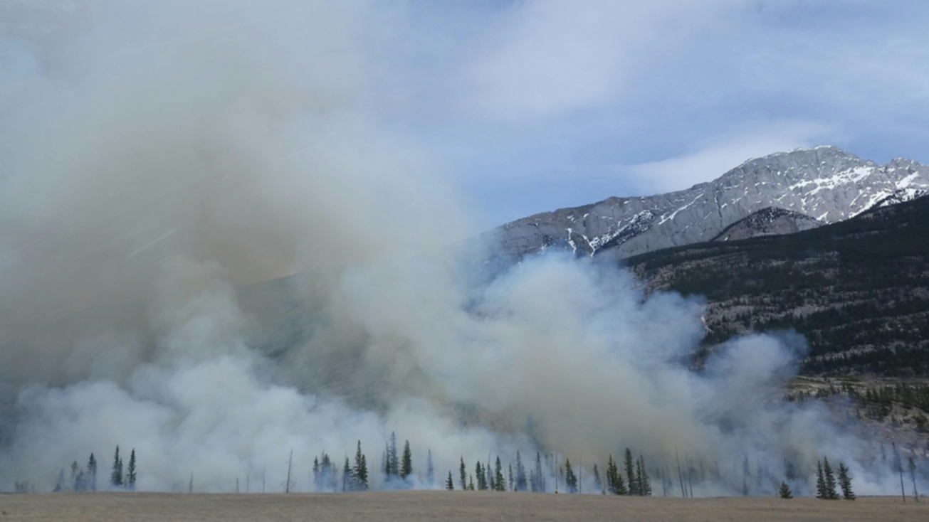 Wildfires control