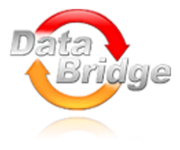 Databridge Translation Services