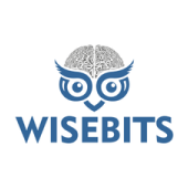 Wisebits