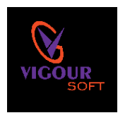 Vigoursoft Global Solutions