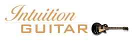 Intuition Publications