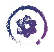 Media & Design Services Company