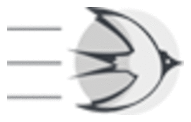 ASTA-USA Translation Services logo