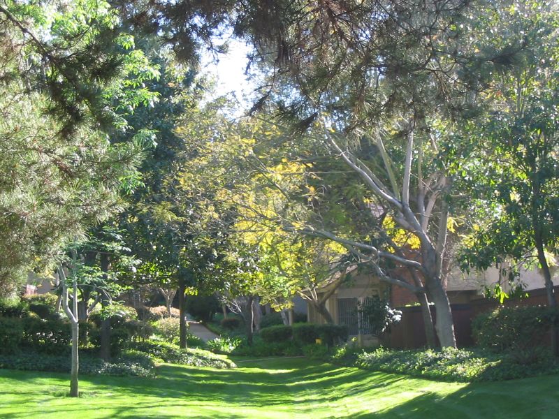 Greenbelt 1