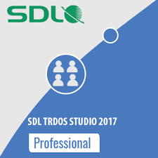 professional2017