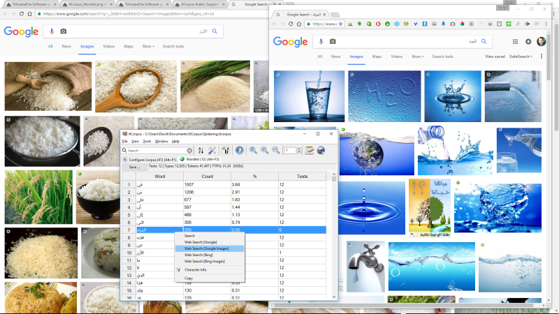 tlCorpus Arabic Support and Google Image Search Quick-launch Functionality - Rice and Water