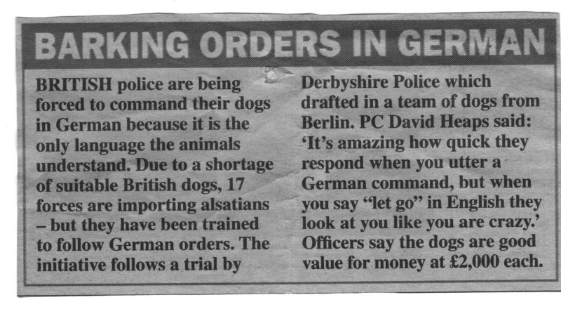 barking orders