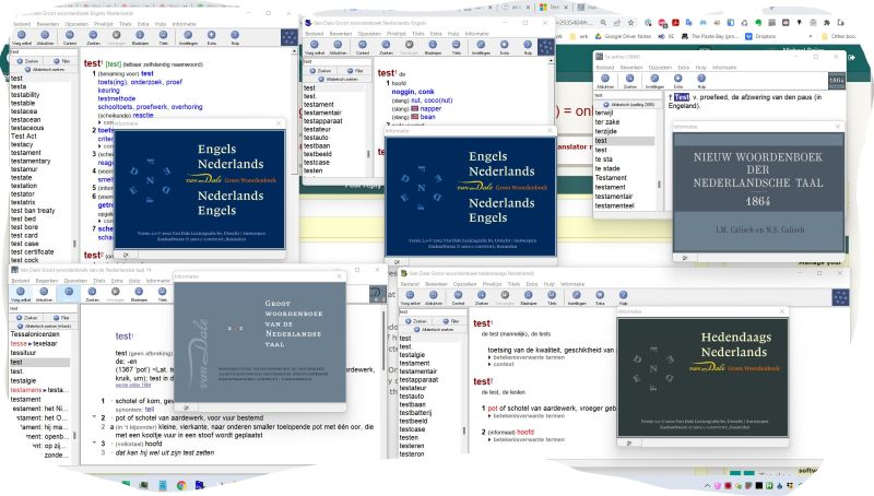 test-van-dale-multiple-windows-based-dictionary-programs