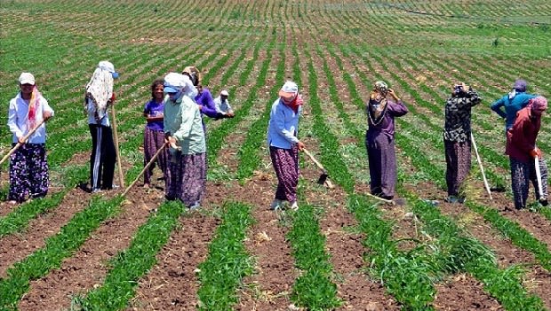 tarım-işçisi