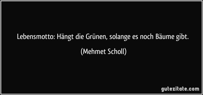 zitat-lebensmotto-hangt-die-grunen-solange-es-noch-baume-gibt-mehmet-scholl-180049