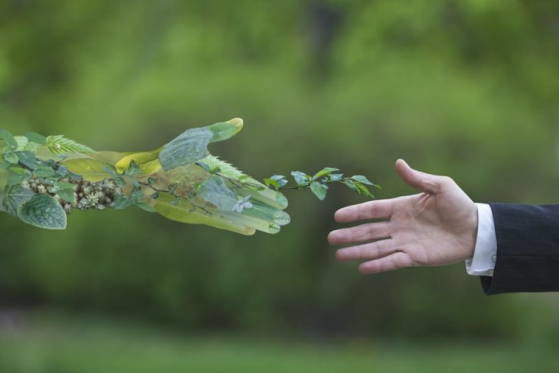 grüne-Hand