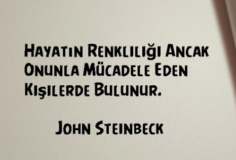 steinbeck-3