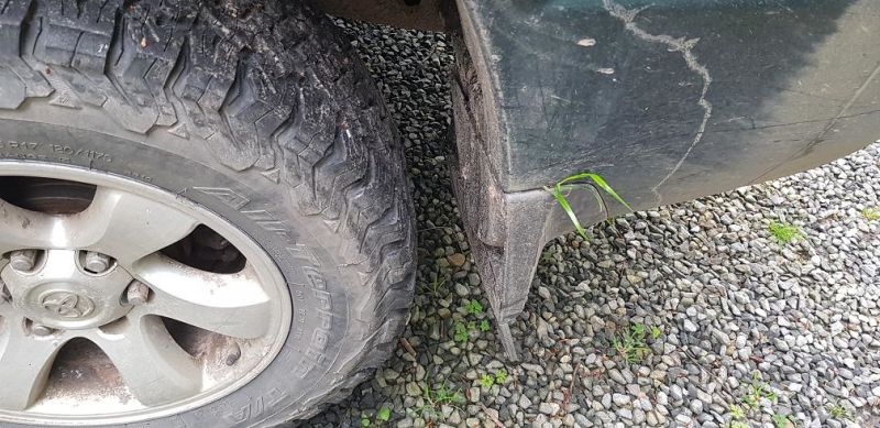 grass in Land Cruiser