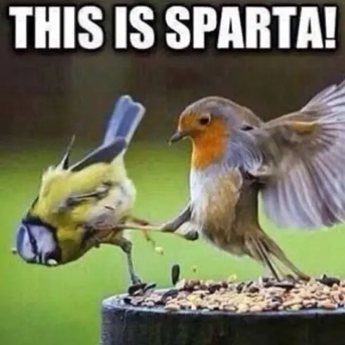 Sparta