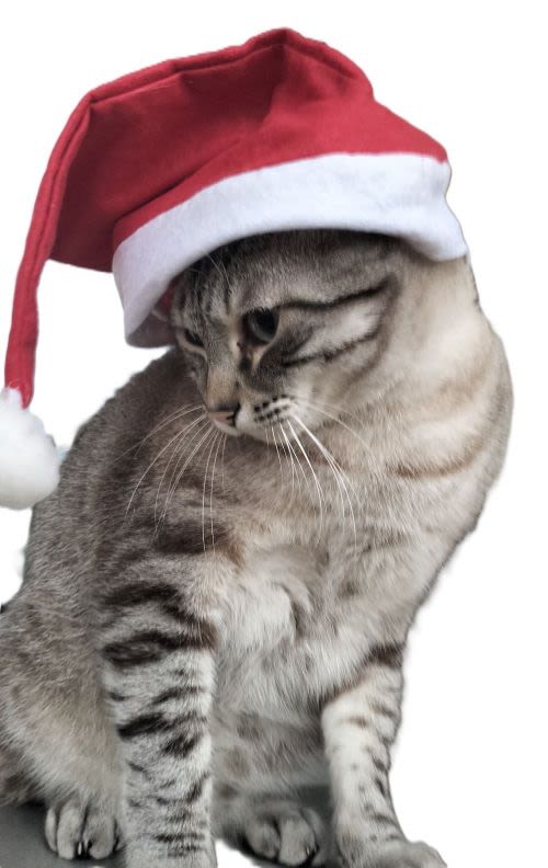 Lucky Santa