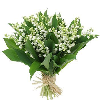 muguet3