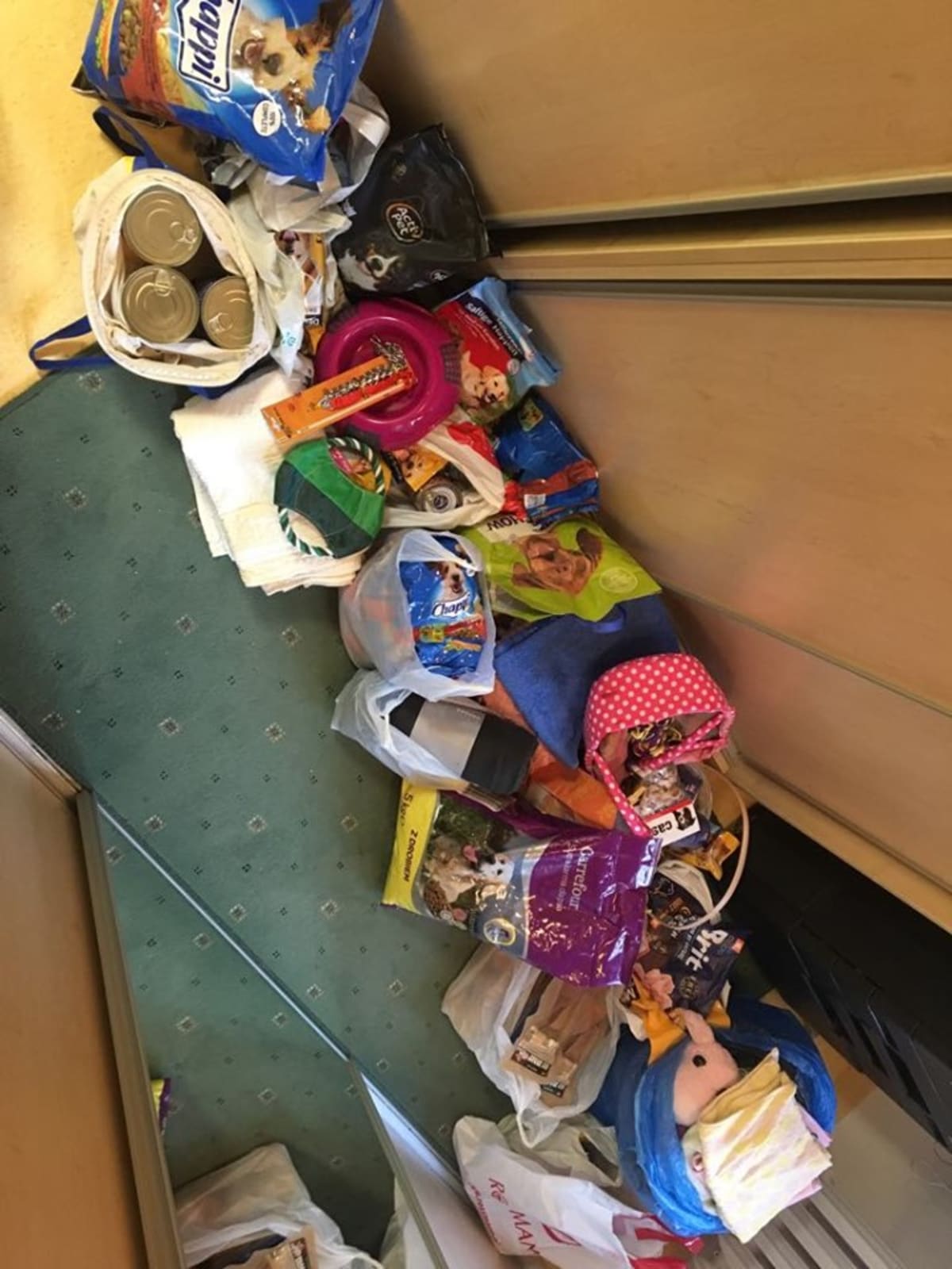 Osoby podczas wydarzenia pt.Dzień kundelka - zbiórka 