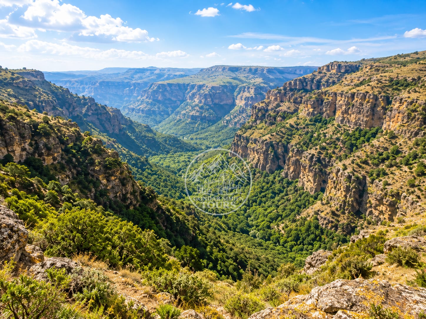 Picos de altiplano alrededor de Kidis Yared en las montañas Simien