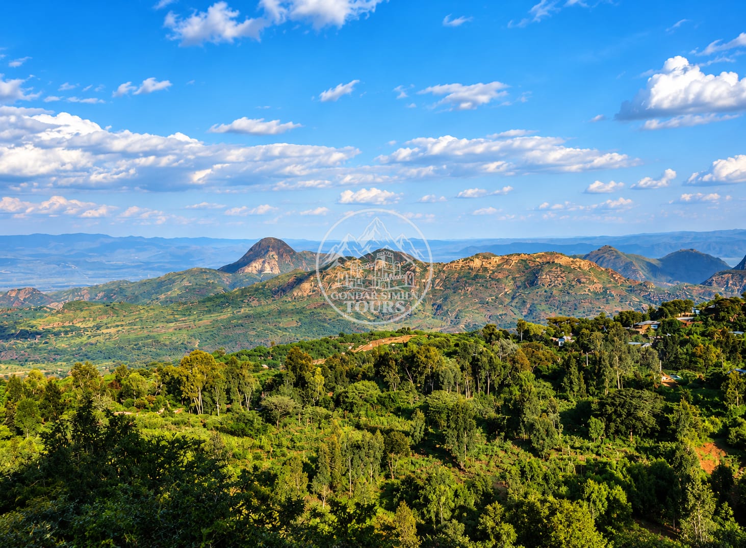 Savanna and bush landscape in Mago National Park
