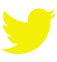 Twitter Icon