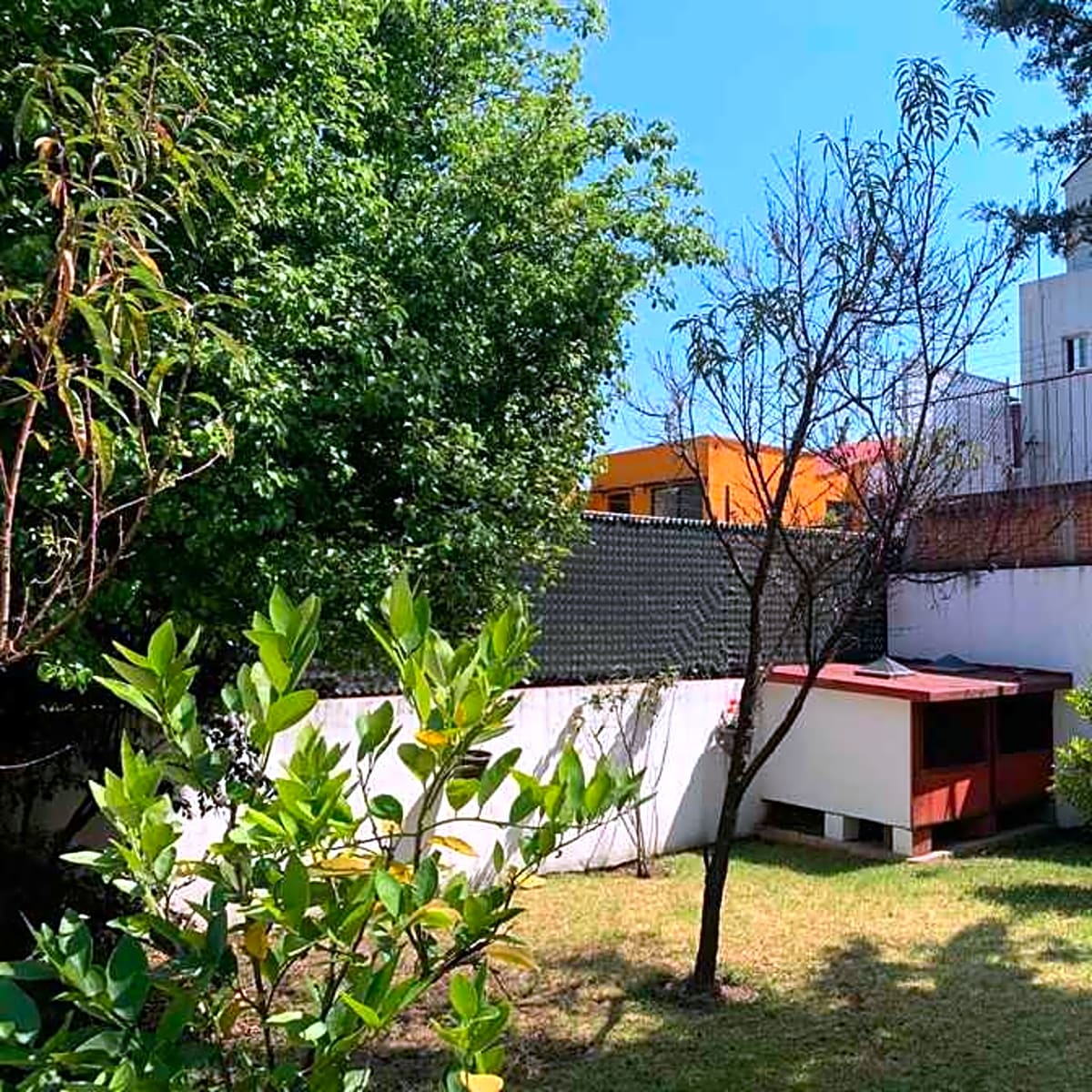 Casa de Lujo en venta o renta con Amplio Jardín en Lomas del Olivo Huixquilucan - fotografía 5