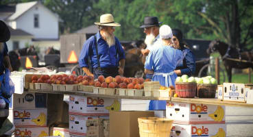 The Digital Marketing Amish