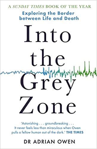 Book cover of "Into the Gray Zone"