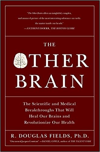 The Other Brain: From Dementia to Schizophrenia, How New Discoveries about the Brain Are Revolutionizing Medicine and Science Book cover of "The Other Brain: From Dementia to Schizophrenia, How New Discoveries about the Brain Are Revolutionizing Medicine and Science"