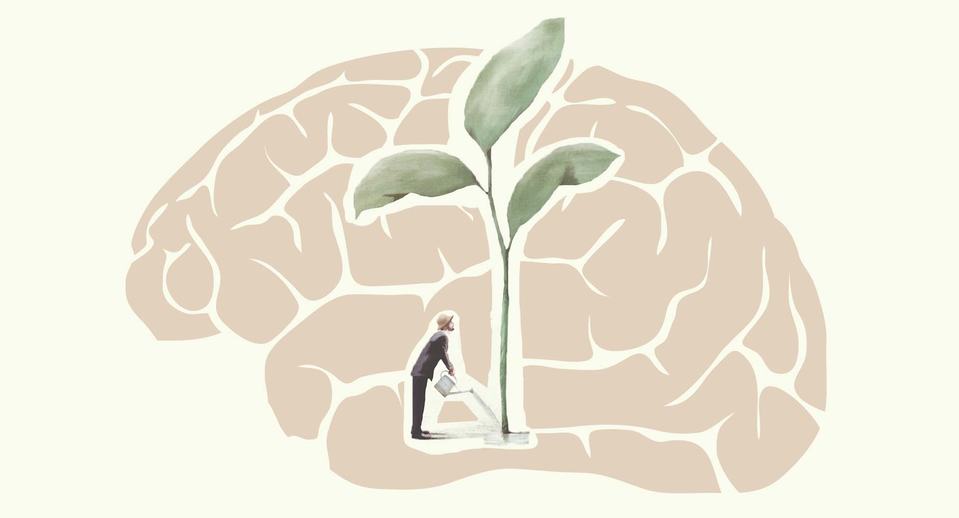 Understanding Solution-Focused Brief Therapy