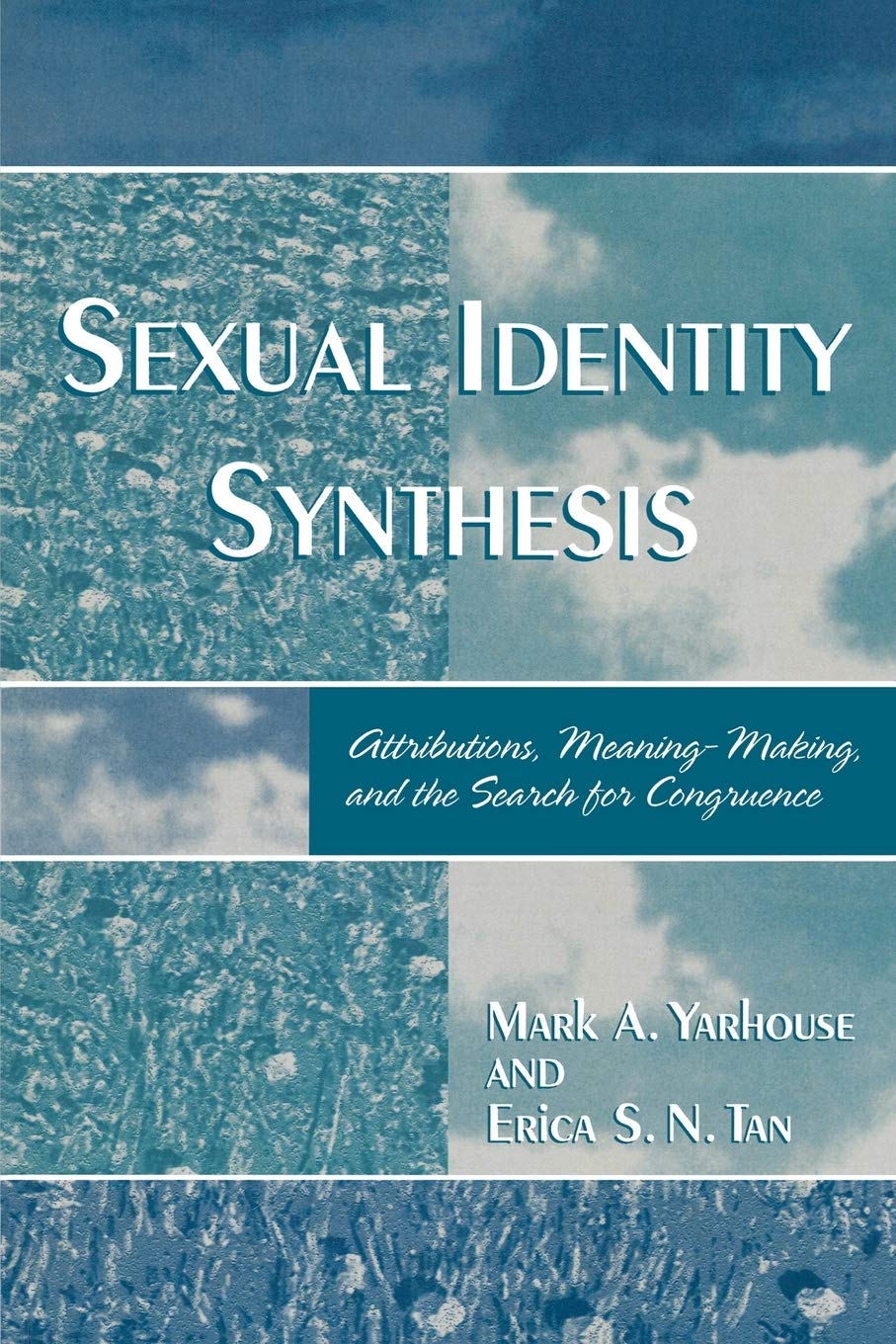 Book cover of "Sexual Identity Synthesis"