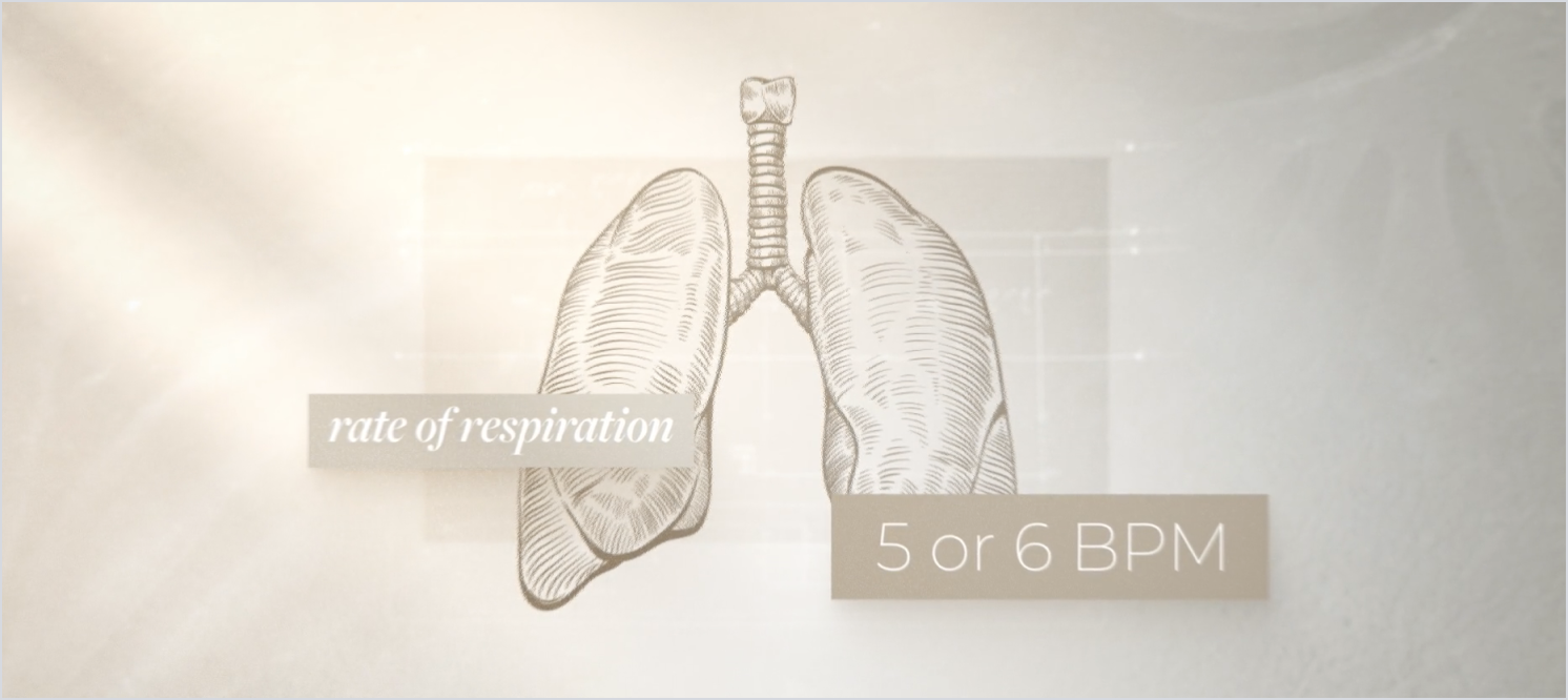 sketched style illustration of lungs