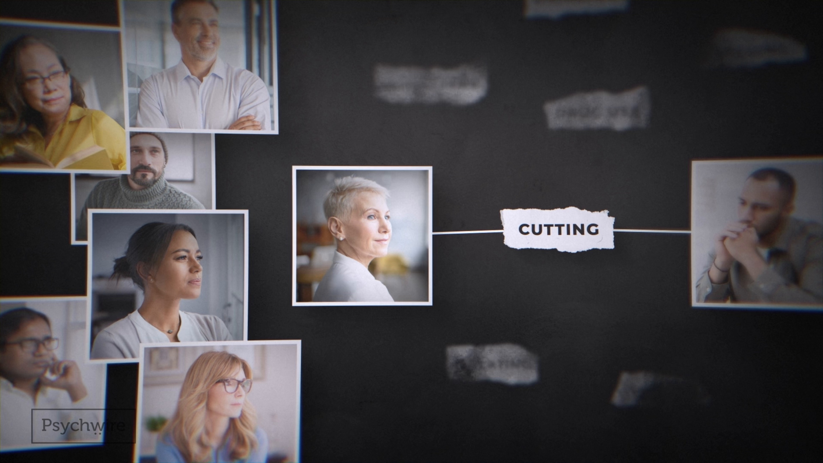 Important Functions of a DBT Team