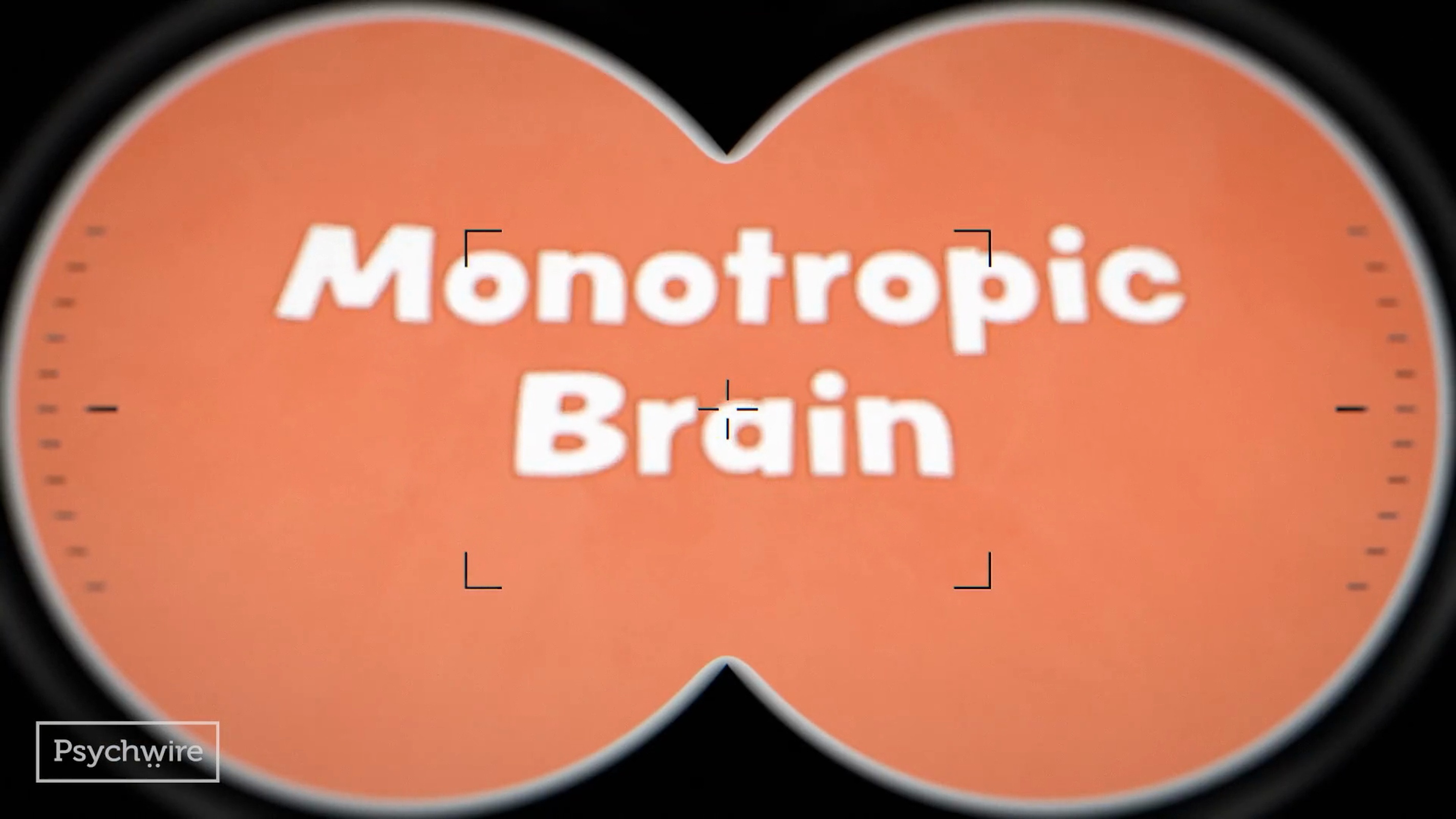 Monotropism in Autism: Strengths and Challenges