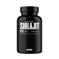 Big Zone Shilajit 90 Kapseln