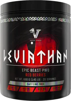 Viking Power - Leviathan Hardcore PWO - 660g