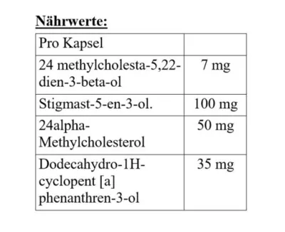 Megabol Testosterol 250 - 30 Kapsel 2