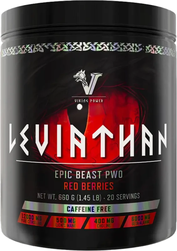 Viking Power - Leviathan Hardcore PWO - 660g - Bild 1