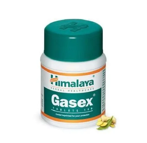 Himalaya Gasex 100 Tabletten - Bild 1
