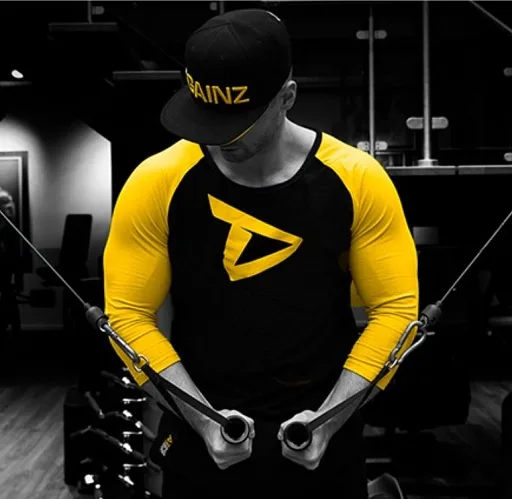 Dedicated 3/4 Sleeve Raglan Short Logo - Bild 1
